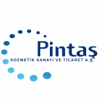 pintas logo